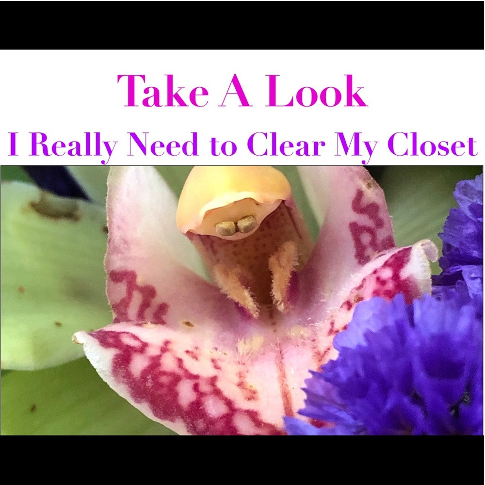 Clear Out My Closet